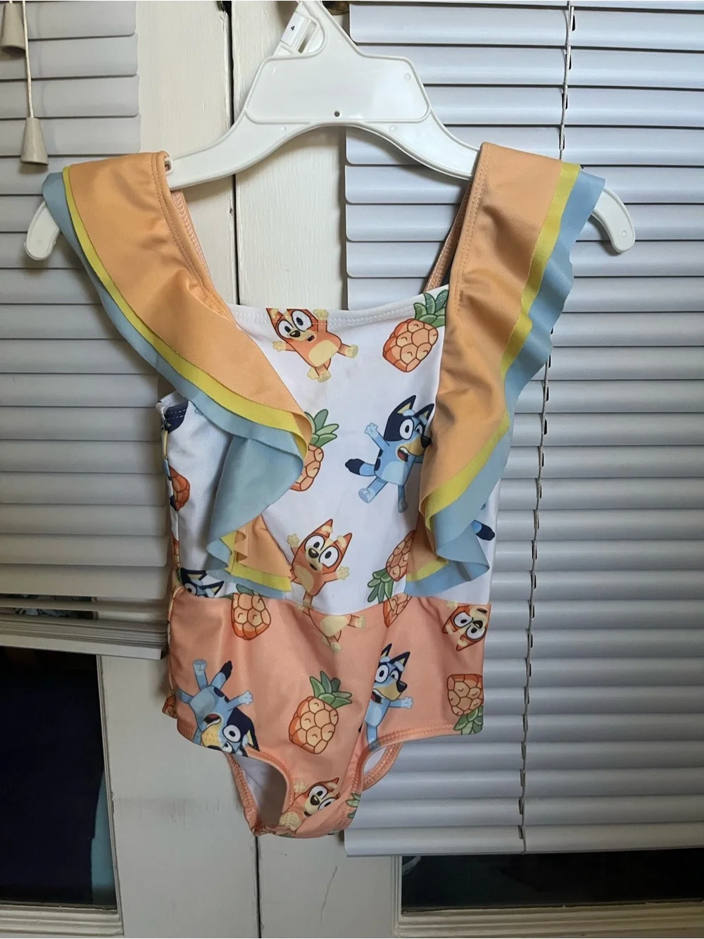Bluey Swimsuits